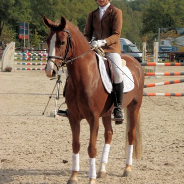 nf-sportdag-2011-100-kopie