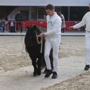 218 LA v St Polderzicht B40I7056_800x572