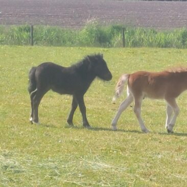 20250521_155542_800x600